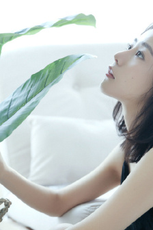 李小龙传奇电视剧